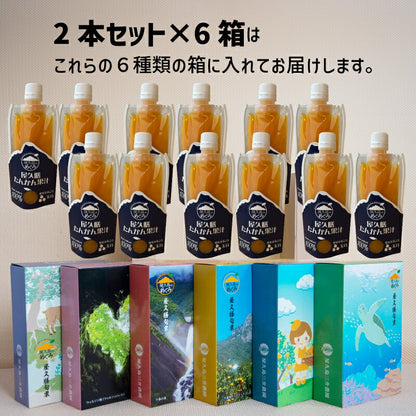 屋久島産 長寿木たんかん100％ストレートジュース 180ml｜ビタミンたっぷり贈り物に最適な生搾り果汁