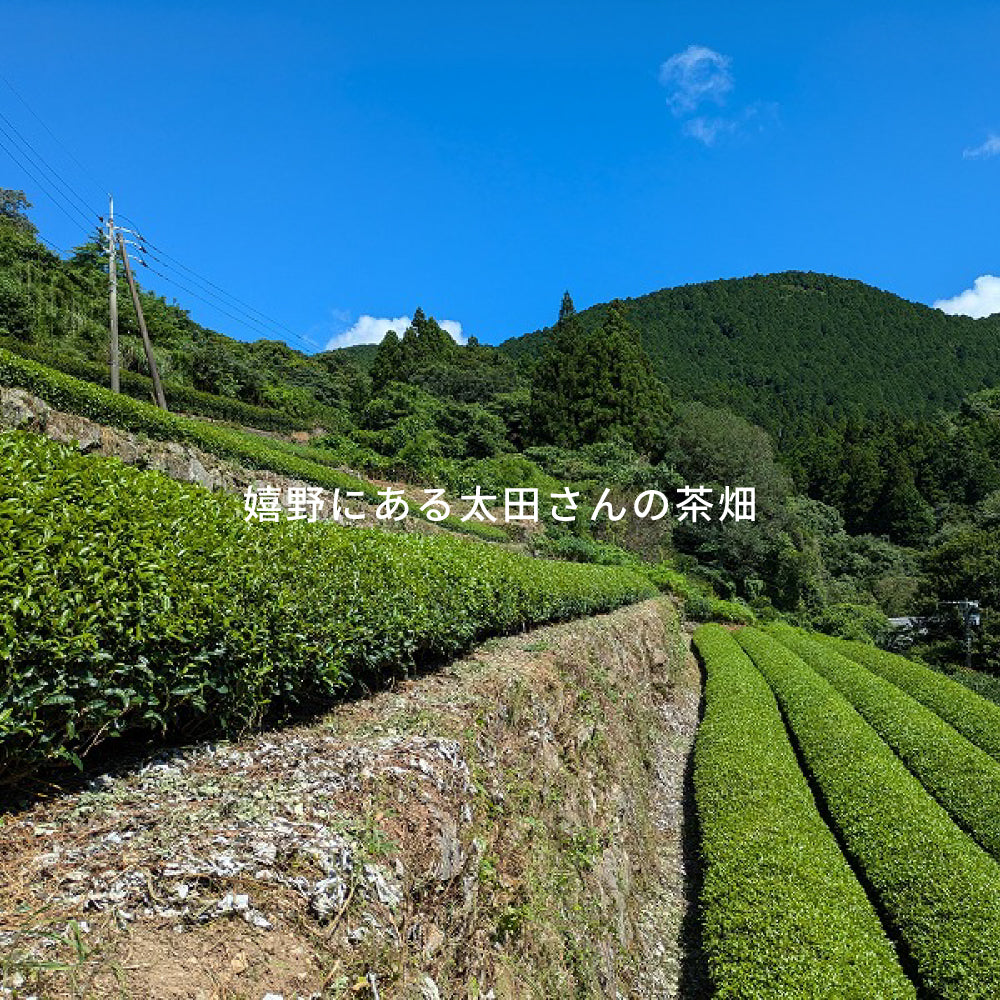 UTFT 嬉野茶農家 太田裕介の茶｜無農薬栽培・無添加｜人の仕事が見える、毎日のための嬉野茶