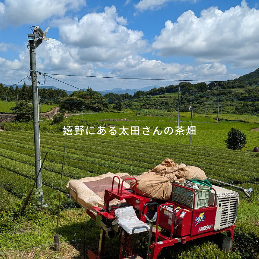 UTFT 嬉野茶農家 太田裕介の茶｜無農薬栽培・無添加｜人の仕事が見える、毎日のための嬉野茶