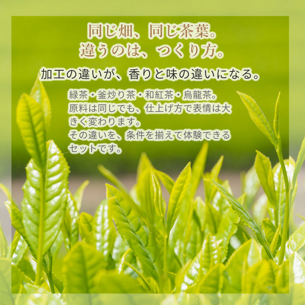 嬉野茶 飲み比べセット 30g×3種｜UTFT太田裕介の茶｜無農薬栽培 緑茶・釜炒り茶・和紅茶｜製法違いを味わう 国産茶 お試しセット