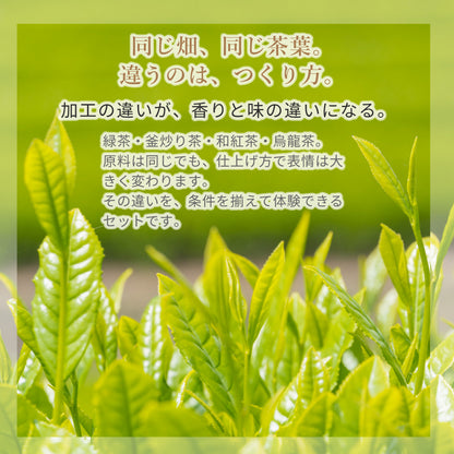 嬉野茶 飲み比べセット 30g×3種｜UTFT太田裕介の茶｜無農薬栽培 緑茶・釜炒り茶・和紅茶｜製法違いを味わう 国産茶 お試しセット
