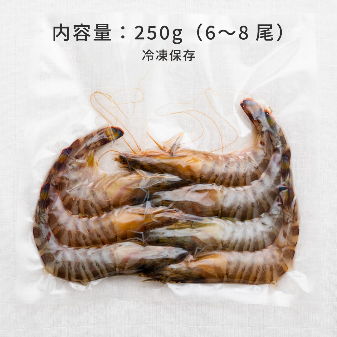 【世界遺産 天草の海産品】特大 車エビ 250g（6〜8尾）｜漁港直送 天草産 冷凍 海老 高級食材
