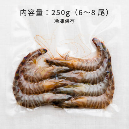 【世界遺産 天草の海産品】特大 車エビ 250g（6〜8尾）｜漁港直送 天草産 冷凍 海老 高級食材
