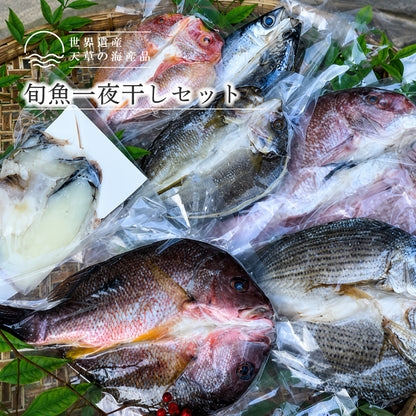 【世界遺産 天草の海産品】旬魚一夜干しセット｜天草天然塩使用 冷蔵庫乾燥 一夜干し 冷凍