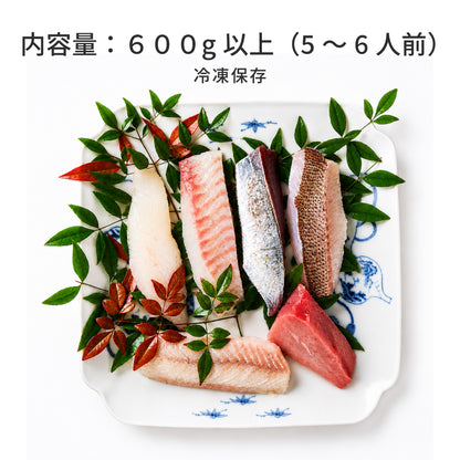 【世界遺産 天草の海産品】旬魚刺身用サク 5,000円キット 600g以上｜天草定置網漁 日替わり刺身セット 冷凍