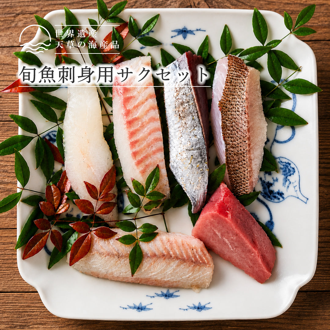 【世界遺産 天草の海産品】旬魚刺身用サク 5,000円キット 600g以上｜天草定置網漁 日替わり刺身セット 冷凍