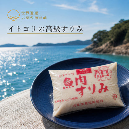 【世界遺産 天草の海産品】イトヨリの高級すりみ 5パック 冷凍｜漁師直送 天草産 無添加仕上げ 魚すり身 つみれ用