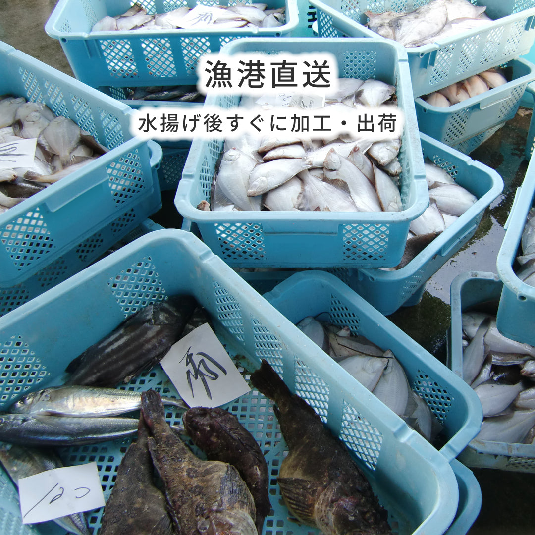 【世界遺産 天草の海産品】イトヨリの高級すりみ 5パック 冷凍｜漁師直送 天草産 無添加仕上げ 魚すり身 つみれ用