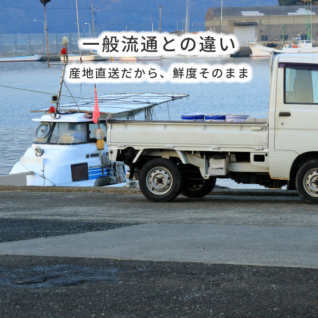 【世界遺産 天草の海産品】イトヨリの高級すりみ 5パック 冷凍｜漁師直送 天草産 無添加仕上げ 魚すり身 つみれ用