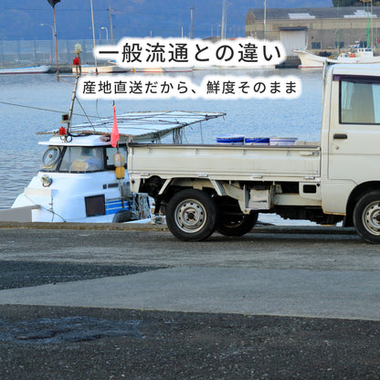 【世界遺産 天草の海産品】イトヨリの高級すりみ 5パック 冷凍｜漁師直送 天草産 無添加仕上げ 魚すり身 つみれ用