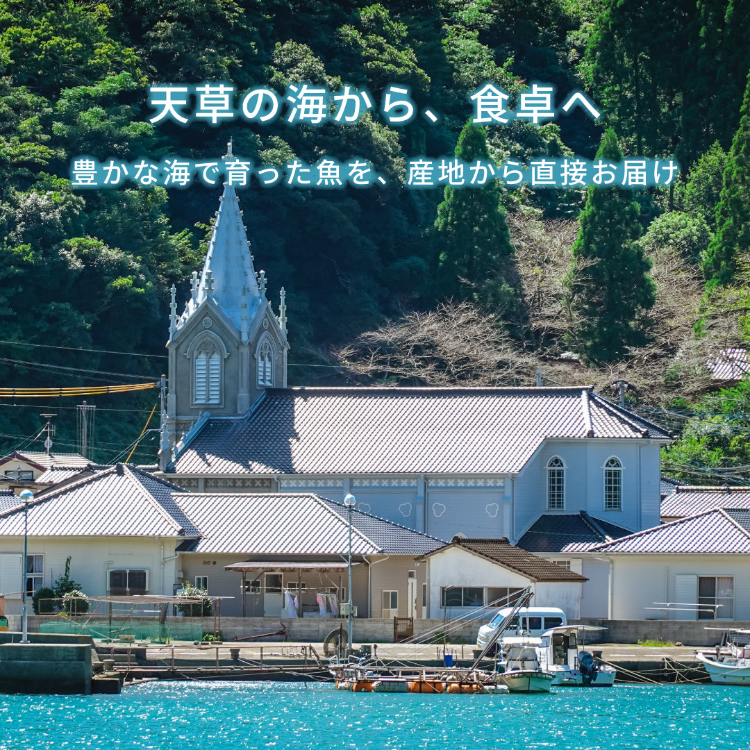 【世界遺産 天草の海産品】イトヨリの高級すりみ 5パック 冷凍｜漁師直送 天草産 無添加仕上げ 魚すり身 つみれ用