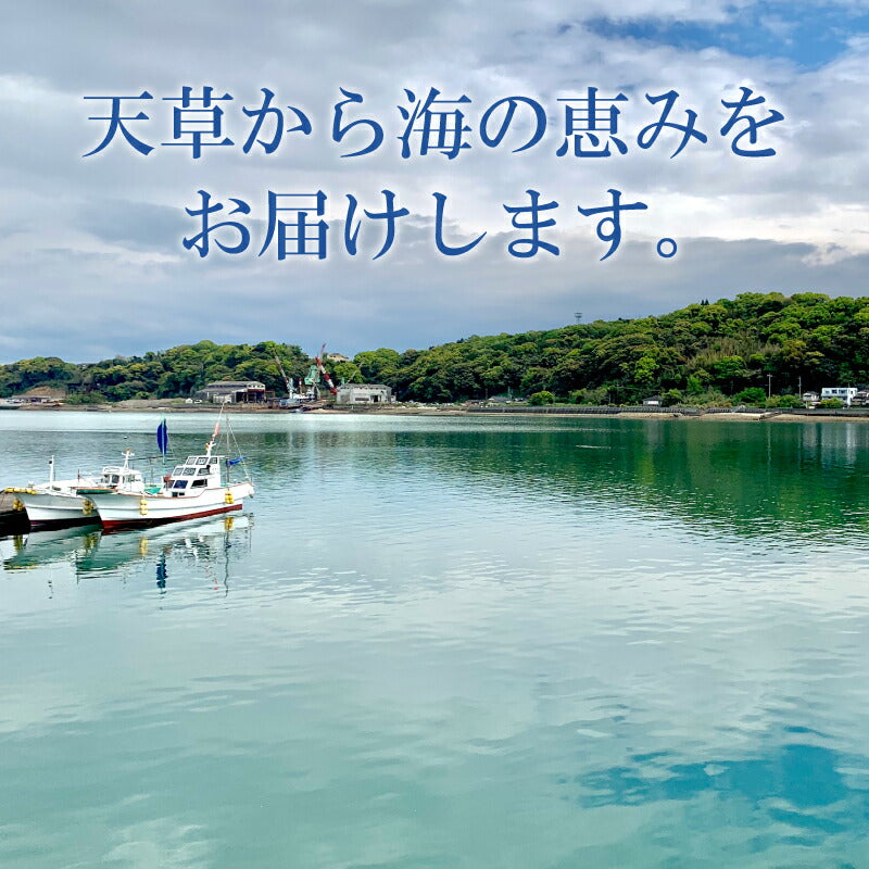 【世界遺産 天草の海産品】天草から6種類のお刺身セット お刺身盛り合わせ 2〜3人前 真空冷凍