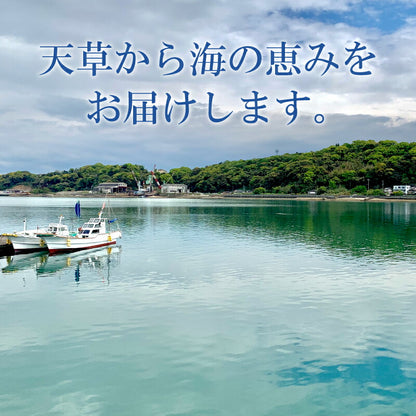 【世界遺産 天草の海産品】天草から6種類のお刺身セット お刺身盛り合わせ 2〜3人前 真空冷凍