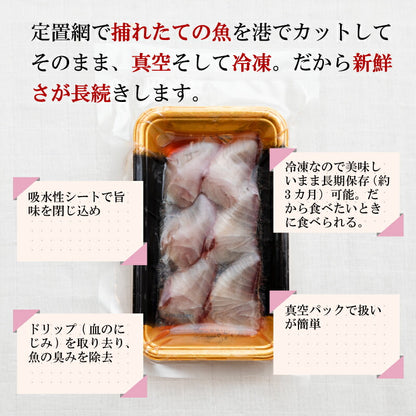 【世界遺産 天草の海産品】天草から6種類のお刺身セット お刺身盛り合わせ 2〜3人前 真空冷凍