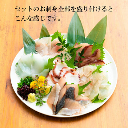 【世界遺産 天草の海産品】天草から6種類のお刺身セット お刺身盛り合わせ 2〜3人前 真空冷凍
