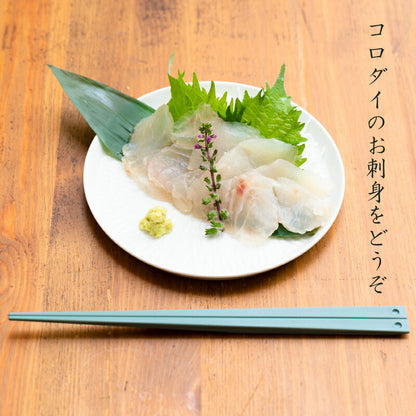 【世界遺産 天草の海産品】天草から6種類のお刺身セット お刺身盛り合わせ 2〜3人前 真空冷凍