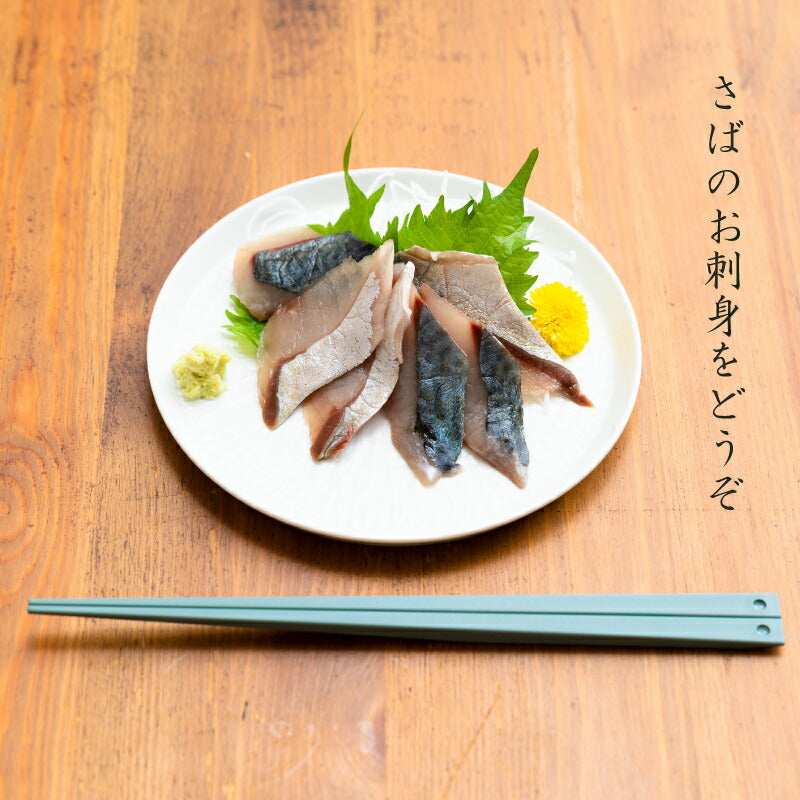 【世界遺産 天草の海産品】天草から6種類のお刺身セット お刺身盛り合わせ 2〜3人前 真空冷凍