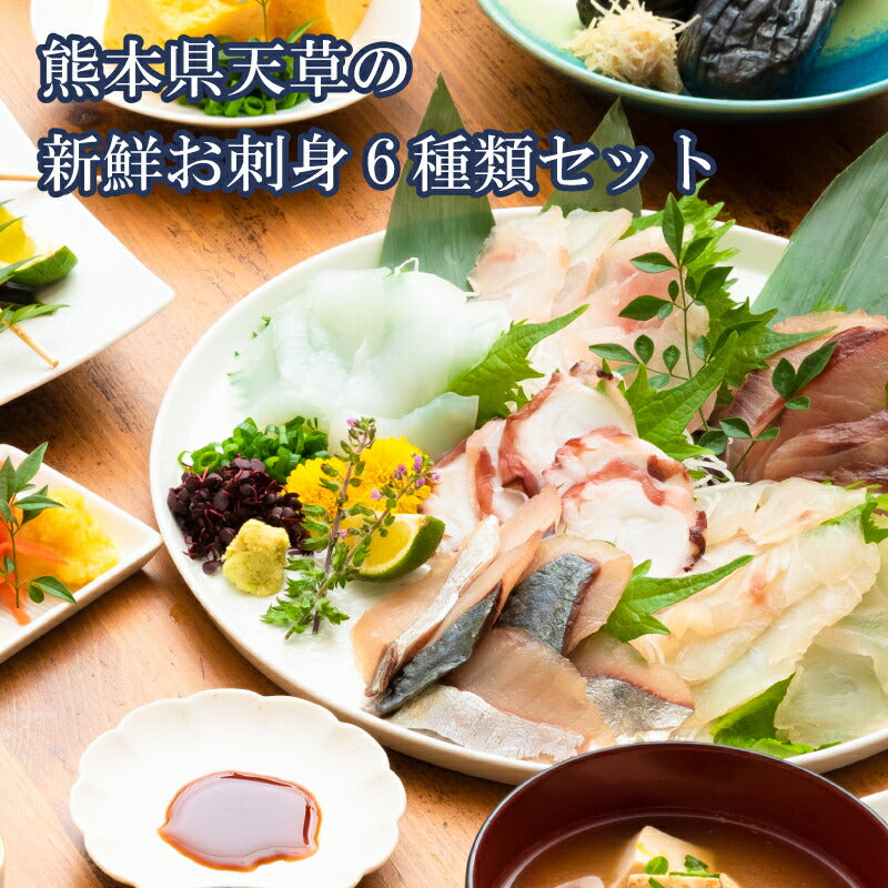 【世界遺産 天草の海産品】天草から6種類のお刺身セット お刺身盛り合わせ 2〜3人前 真空冷凍