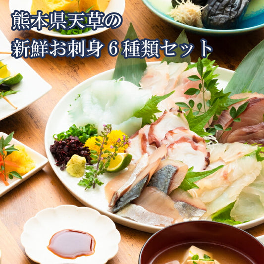 【世界遺産 天草の海産品】天草から6種類のお刺身セット お刺身盛り合わせ 2〜3人前 真空冷凍